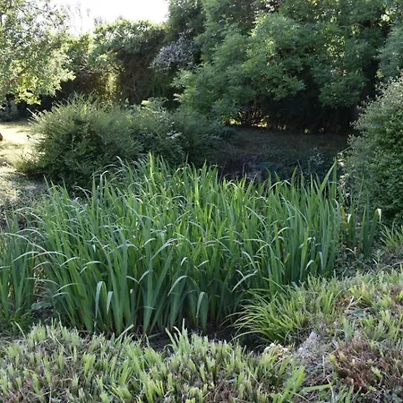 Au Clos De La Bergerie - Campagne, Détente&pétanque Hébergement de vacances *